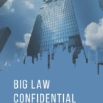 Understanding Big Law: A Must-Read Guide To One Of The Most Challenging Workplaces In The World Is Now Available